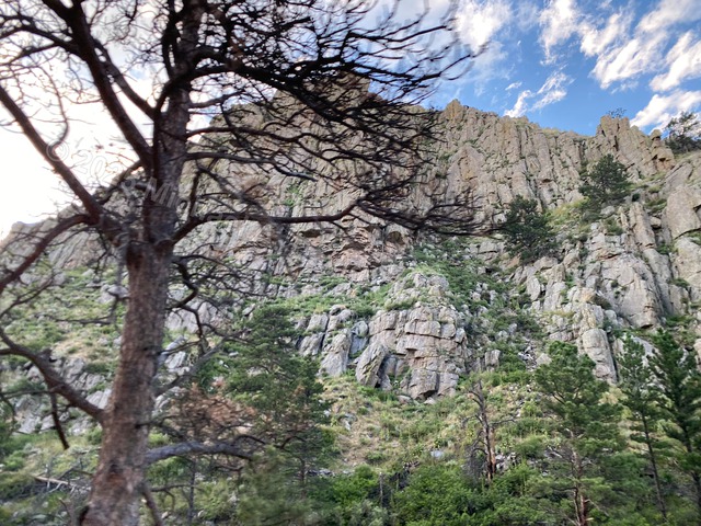 nature_2023-08-05 19.35.12-2023.jpg